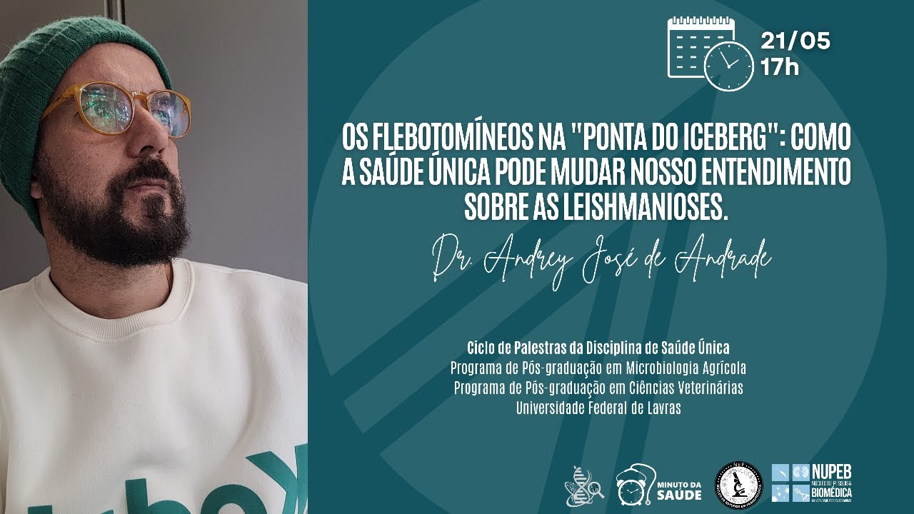 SAÚDE ÚNICA: Os flebotomíneos na "ponta do iceberg