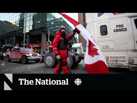 What is the Freedom Convoy movement now?