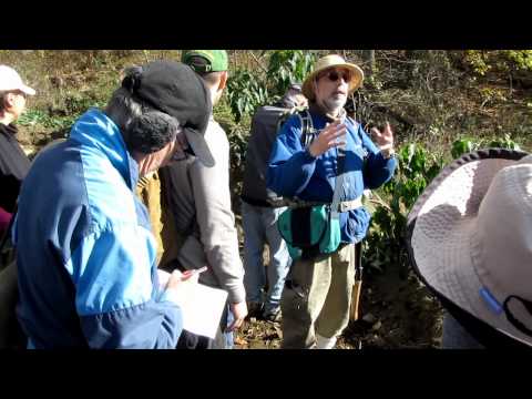 Steve Brill Talking about why Witches Flew on Broomsticks using Jimsonweed