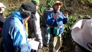 Steve Brill Talking about why Witches Flew on Broomsticks using Jimsonweed