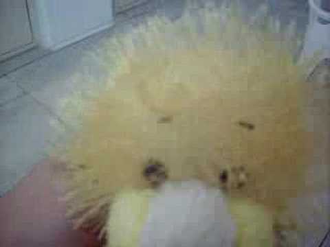 My Backyard for the next 3 Days (Vacation Spot)