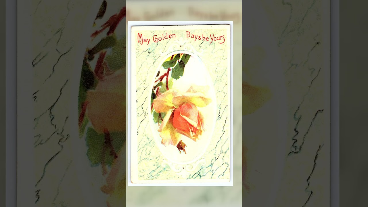 S.B. Series 110, Divided Back Postcard, Floral Design, 1913 Postmark Video