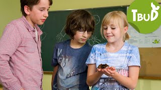 Die Bananenspinne (Folge 31) | Tiere bis unters Dach | SWR Plus