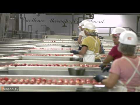 I, Tomato: Morning Star's Radical Approach to Management