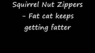 Fat Cat Keeps Getting Fatter Music Video