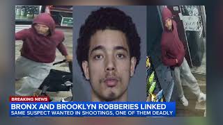 Video shows gunman shoot customer during Bronx store holdup