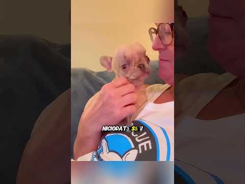 Această Cățelușă Avea Sindromul Down, Ceea Ce O Făcea Să Se Simtă Singură 🐶💔