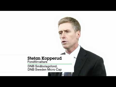 Vad tycker DNB att du ska investera i småbolag?