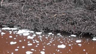 WIELICZKA  3 MAJ 2015 ROK -TEZNIE -KOPALNIA SOLI