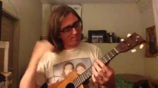 Airline Amy - Ukulele Cover