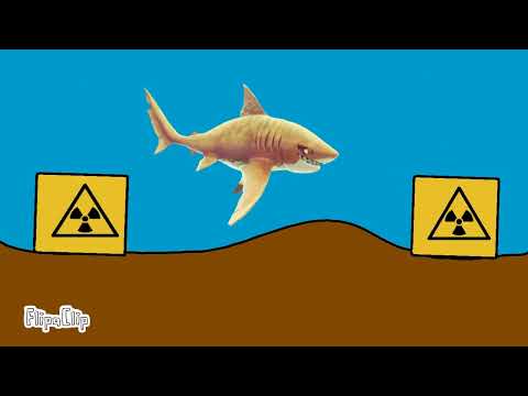 ⚛️ orgin of the atomic shark ⚛️