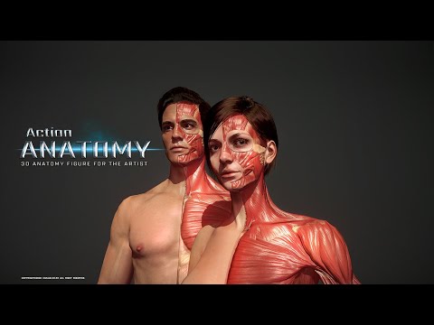 Action Anatomy Lite