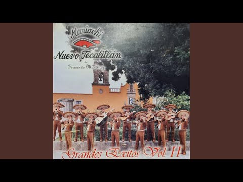 Qué Chulada De Mujer