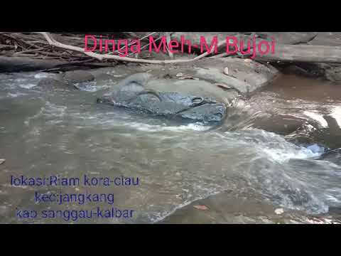 Dinga Meh- M Bujoi #lagu dayak iban