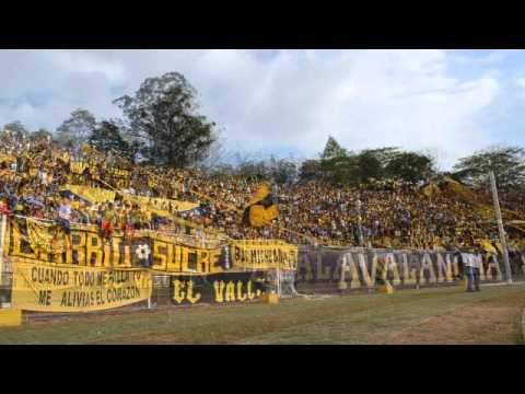"AvSr - 27/04/2014 (Dvo, Táchira 3 Caracas 2)" Barra: Avalancha Sur • Club: Deportivo Táchira