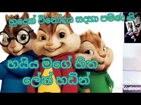 Haiya mage hita song chipmunk voice