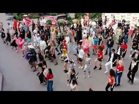 SERAFỲN - YBC CAMP