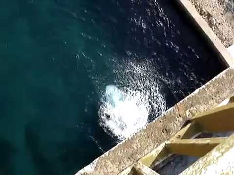 20 Meter High Bridge Jump