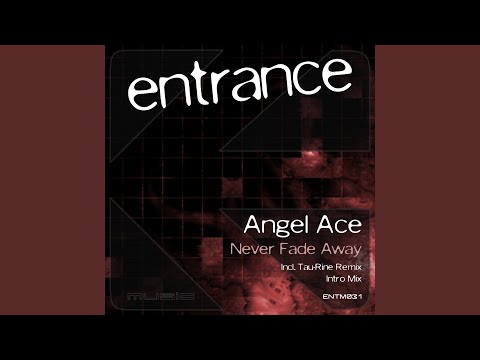 Never Fade Away (Tau-Rine Remix)