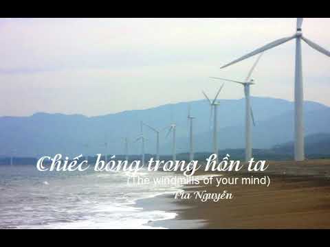 Thể hiện bởi Pia Nguyễn
