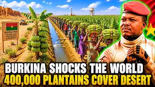 400,000 PLANTAINS Cover the DESERT — How Did TRAORE Do It?