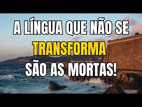Por Que o Português do Brasil É Único e Encanta o Mundo e Ninguém Tem Coragem de Admitir?