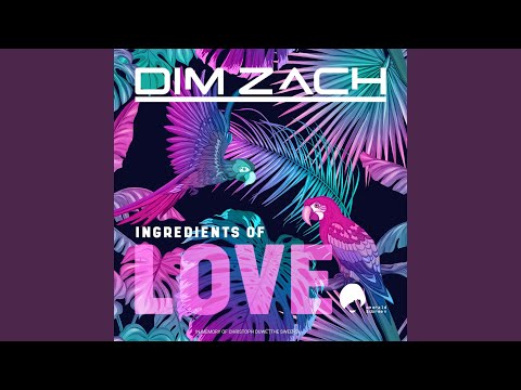 Ingredients of Love (Jerry Bouthier Mix)