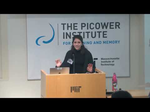 The Role of Norepinephrine on Brain Function During Learning