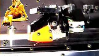 Ted Mulry Gang (TMG) - My little girl