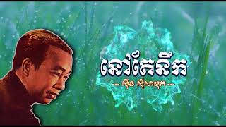 នៅតែនឹក   ស៊ីន ស៊ីសាមុត   Nov Te Neuk   Sinn Sisamouth