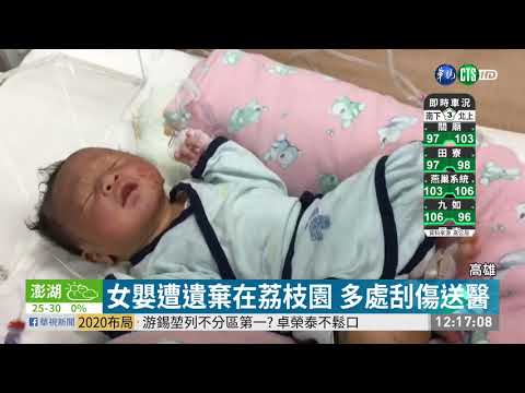 女嬰遭遺棄在荔枝園 多處刮傷送醫