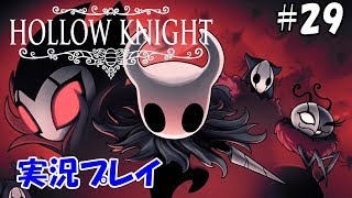 #29【アクション】Hollow Knightをまったり実況プレイ【ホロウナイト】