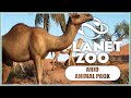 We Re Getting Eight New Animals Planet Zoo Arid Animal Pack Announcement Trailer