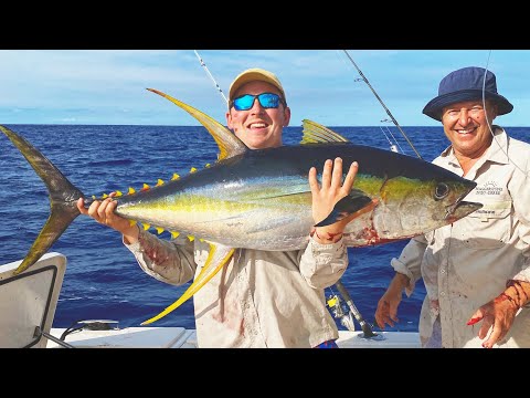 STICK BAITING FOR TUNA AND MAHI MAHI | Brisbane Gold Coast