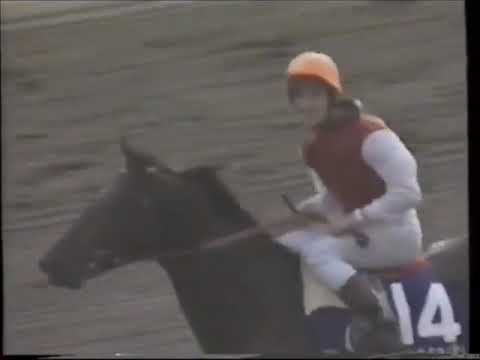 Japan Cup (G1) 1996