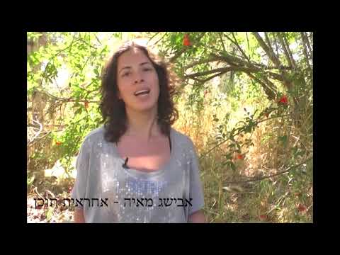 צעקתי, בכיתי, השפרצתי: יומן מסע מפסטיבל סקס בכנרת