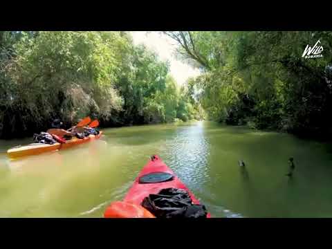 Cu caiacele din Delta Dunarii si pana pe plajele salbatice ale Marii Negre