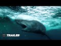 The Reef Stalked Official Trailer (2022) | Cinemax