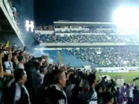 Palmeiras 2x0 Coritiba - ♫ Vamos Vamos meu Verdão - [Final] Copa do Brasil 2012