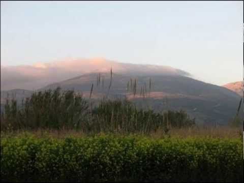 אל גינת אגוז - אריאל קינן