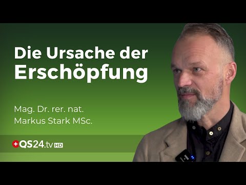 Nebennierenschwäche - grundlos energielos gibt es nicht | Dr. rer. nat. Markus Stark MSc. | QS24