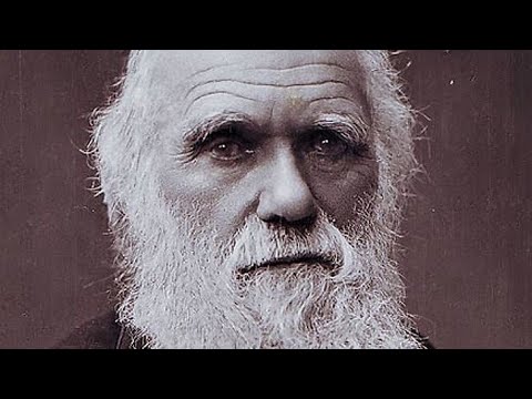 Darwinism’s Downfall: Evolution Debunked | Keith Thompson
