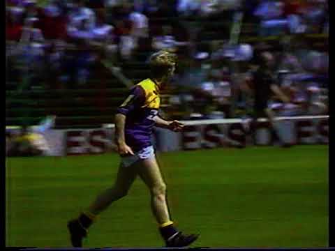 1992 Leinster Minor Football Semi Final Meath v Wexford