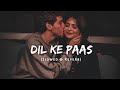 Slowed Reverb Pal Pal Dil Ke Paas Tum Rahti Ho Arijit Singh Dil Ke Paas Lofi Hindilofi
