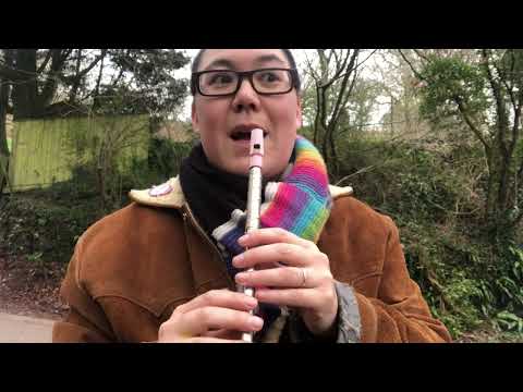 How to bend notes like a blues guitarist on tin whistle/pennywhistle.