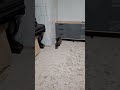 Комод Ирис 1200 Браш Графит - Дуб Крафт