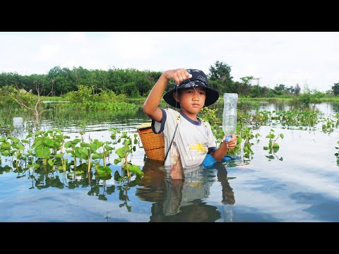 @0040 The village boy fishing alone near homeland |Primitive Technology