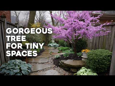 Small Yard? Plant These 15 Gorgeous Ornamental Trees! 🌳✨