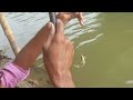 Fishing In The River With A Borshe