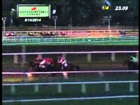 9NA CARRERA DOMINGO 14 DE SEPTIEMBRE 2014 HPR